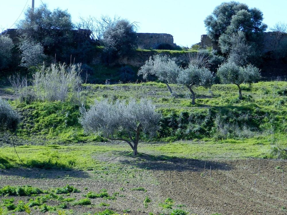 Agriturismo Passo Dei Briganti Agrigento Eksteriør bilde