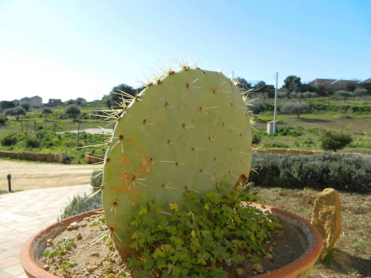 Agriturismo Passo Dei Briganti Agrigento Eksteriør bilde